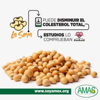 Post Facebook Asocación Mexicana de alimentos de soya (1)