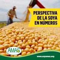 Post Facebook Asocación Mexicana de alimentos de soya (3)